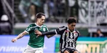 Santos x Palmeiras Camepoanto Brasileiro - Créditos : https://www.flickr.com/photos/santosfc/54906177372/
