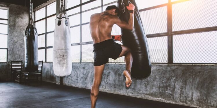 Boxe, Jiu-Jitsu ou Muay Thai: saiba qual é a melhor escolha para você