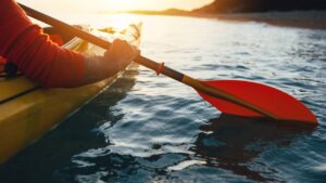 O segredo dos iniciantes que aprendem a remar sem medo