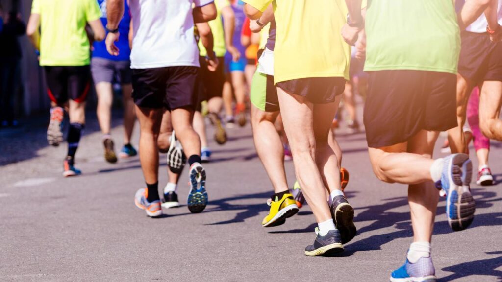 Mandala completa à vista! A etapa Verão do Circuito das Estações vai começar