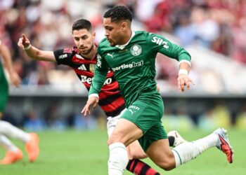 Palmeiras e Flamengo disputam a final da Libertadores