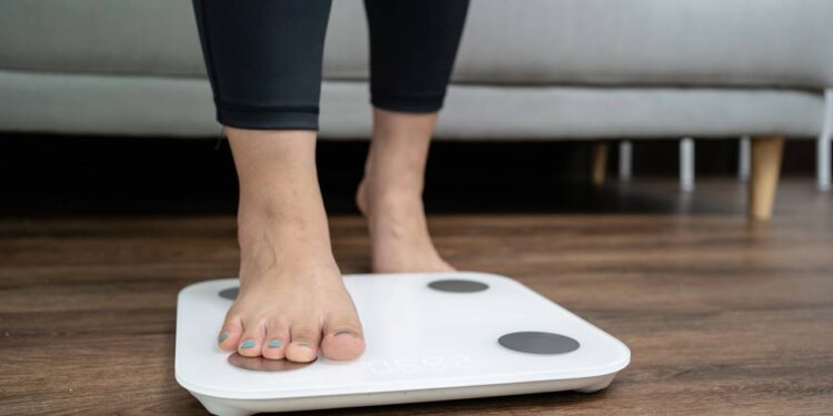 Por que medir sua composição corporal muda tudo nos seus treinos?