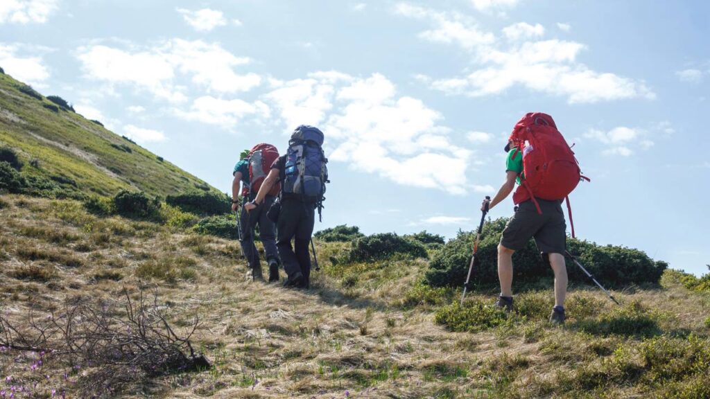 Prepare-se para sua primeira trilha e viva uma aventura inesquecível