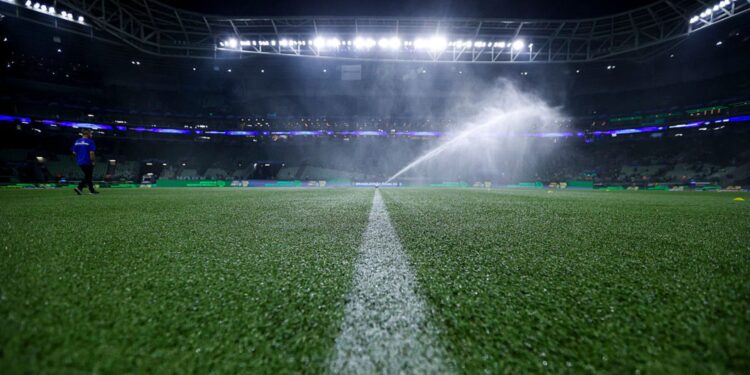Palmeiras, Atlético-MG, Athletico-PR, Botafogo e Chapecoence se posicionaram a favor da grama artificial