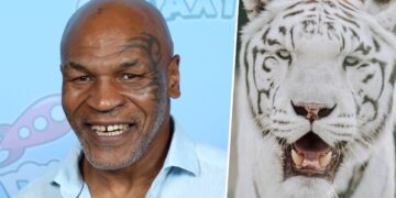 Tigre no quintal: a extravagância dos pets de Mike Tyson e outros atletas