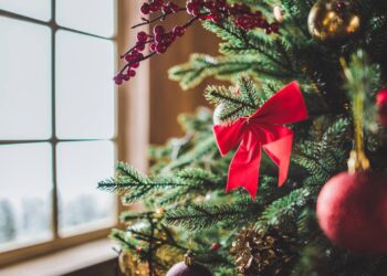 Personalidades do esporte do Brasil que nasceram no dia de Natal