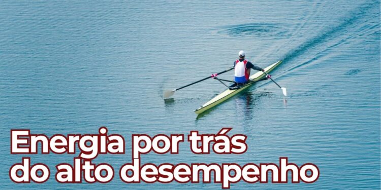 O combustível por trás do desempenho dos remadores de elite