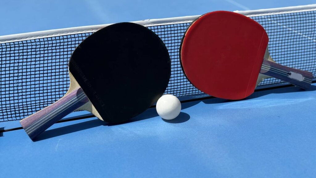 Pingue-pongue em casa: quanto custa e será que vale a pena?