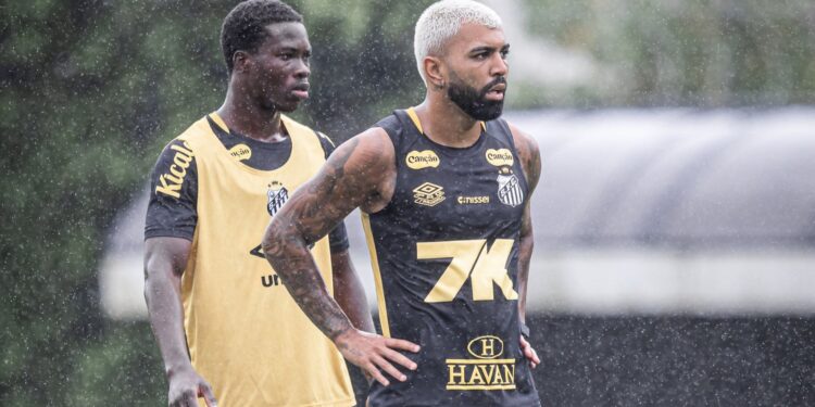 Gabigol foi apresentado pelo Santos nesta segunda-feira, 5