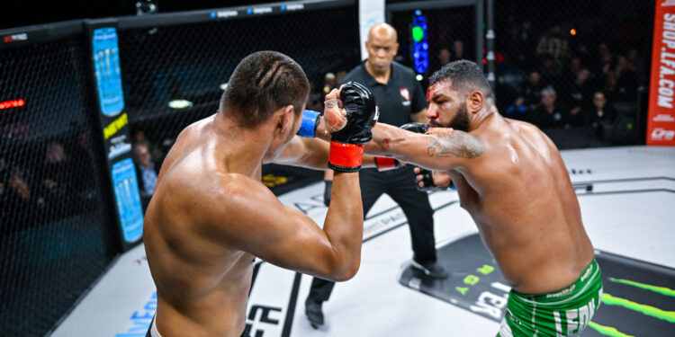 Brasília é a capital do MMA no Brasil nesta semana - Foto: LFA Brasil/Divulgação