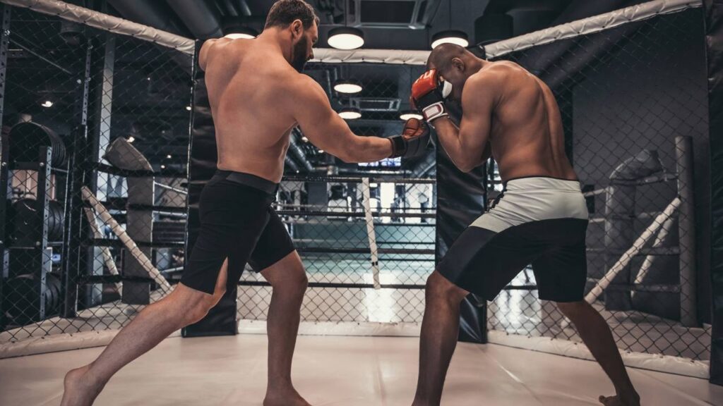 Golpes proibidos no MMA que podem colocar os atletas em risco
