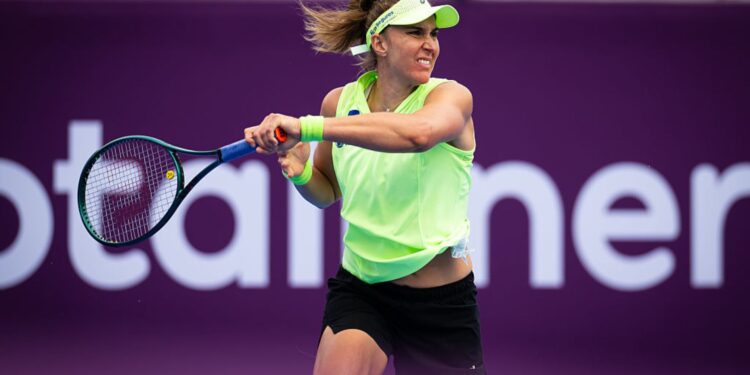 Bia Haddad anunciou a fim da parceria com o treinador Rafael