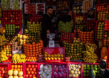 Alguns alimentos são importantes aliados na melhora do desempenho nos treinos