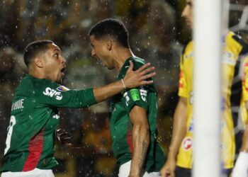 Palmeiras supera o Novorizontino e garante o título do Paulistão 2026