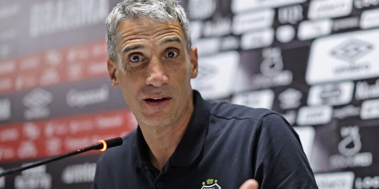 Vojvoda não deve ficar no Santos