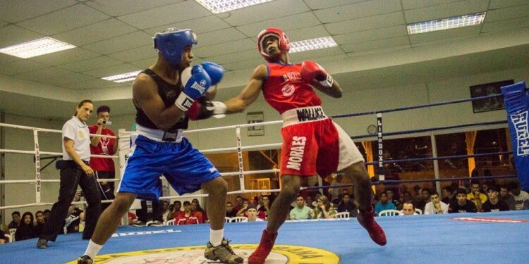 Jovens atletas treinam boxe em academia de periferia - Foto: Divulgação