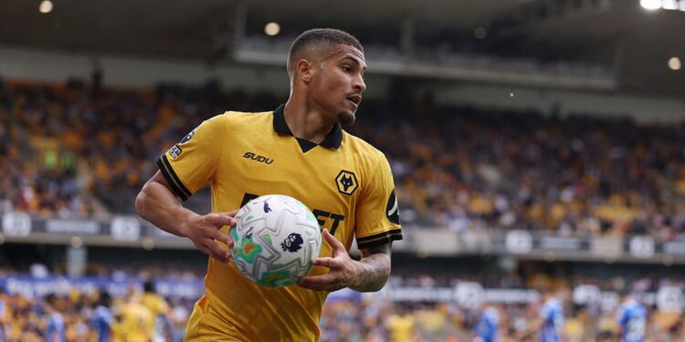 João Gomes durante jogo do Wolverhampton