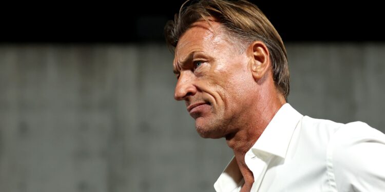 Hervé Renard, treinador da Tunísia, na partida contra o Japão