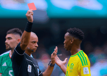 Wilton Pereira Sampaio viraliza após explicação em inglês em jogo da Copa