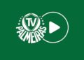 Modelo Barcelona: como o Palmeiras copiou a estrat&eacute;gia do l&iacute;der global para dominar o YouTube