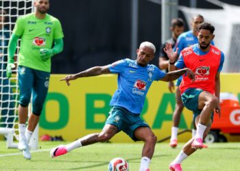 Vivendo a expectativa de disputar sua primeira Copa do Mundo, Wesley destacou o ambiente de integração criado por Carlo Ancelotti.