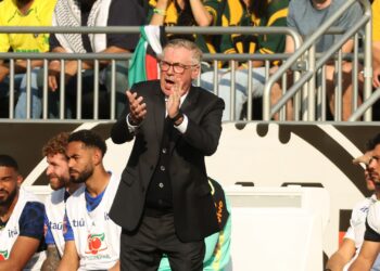 Ancelotti gostou da atua&ccedil;&atilde;o do Brasil