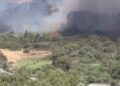 Inc&ecirc;ndio e cobras: base da Su&iacute;&ccedil;a vira fator de risco em plena prepara&ccedil;&atilde;o para Copa 2026