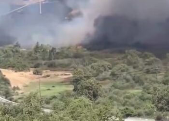 Incêndio e cobras: base da Suíça vira fator de risco em plena preparação para Copa 2026