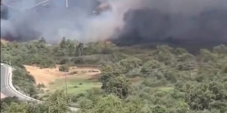 Incêndio e cobras: base da Suíça vira fator de risco em plena preparação para Copa 2026